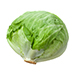 Lettuce (Iceberg)